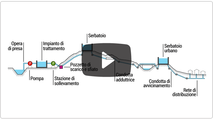 Guarda il video