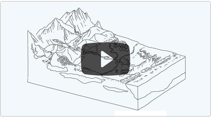 Guarda il video