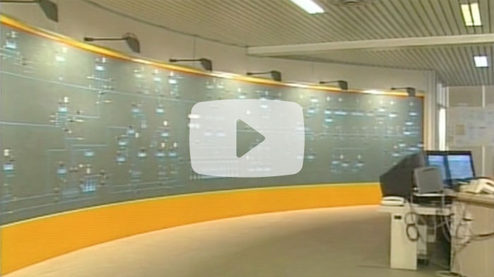 Guarda il video