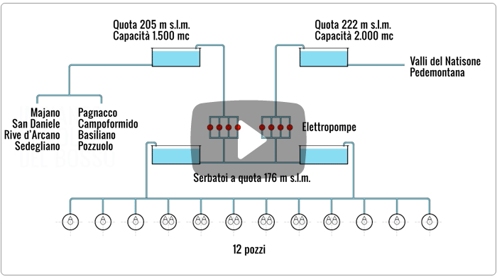 Guarda il video