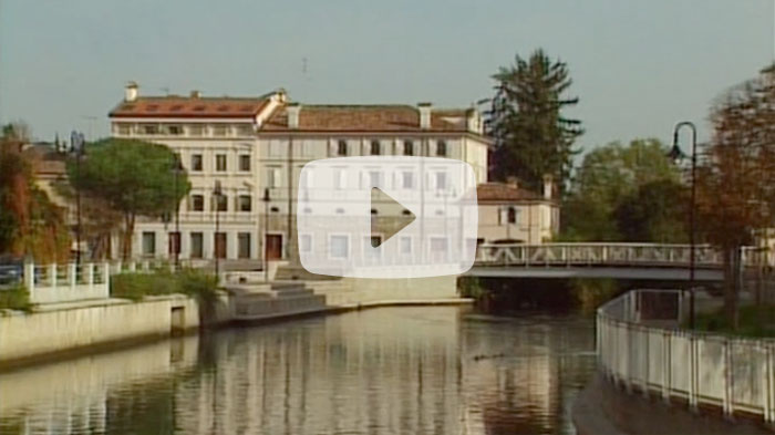 Guarda il video
